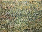 Vincent Van Gogh Pasture in Bloom (nn04) Sweden oil painting artist
